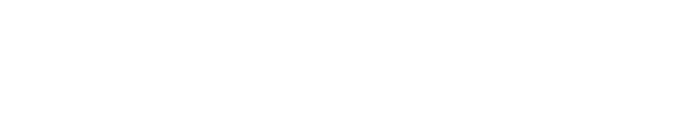 National Lease Advisors Logo